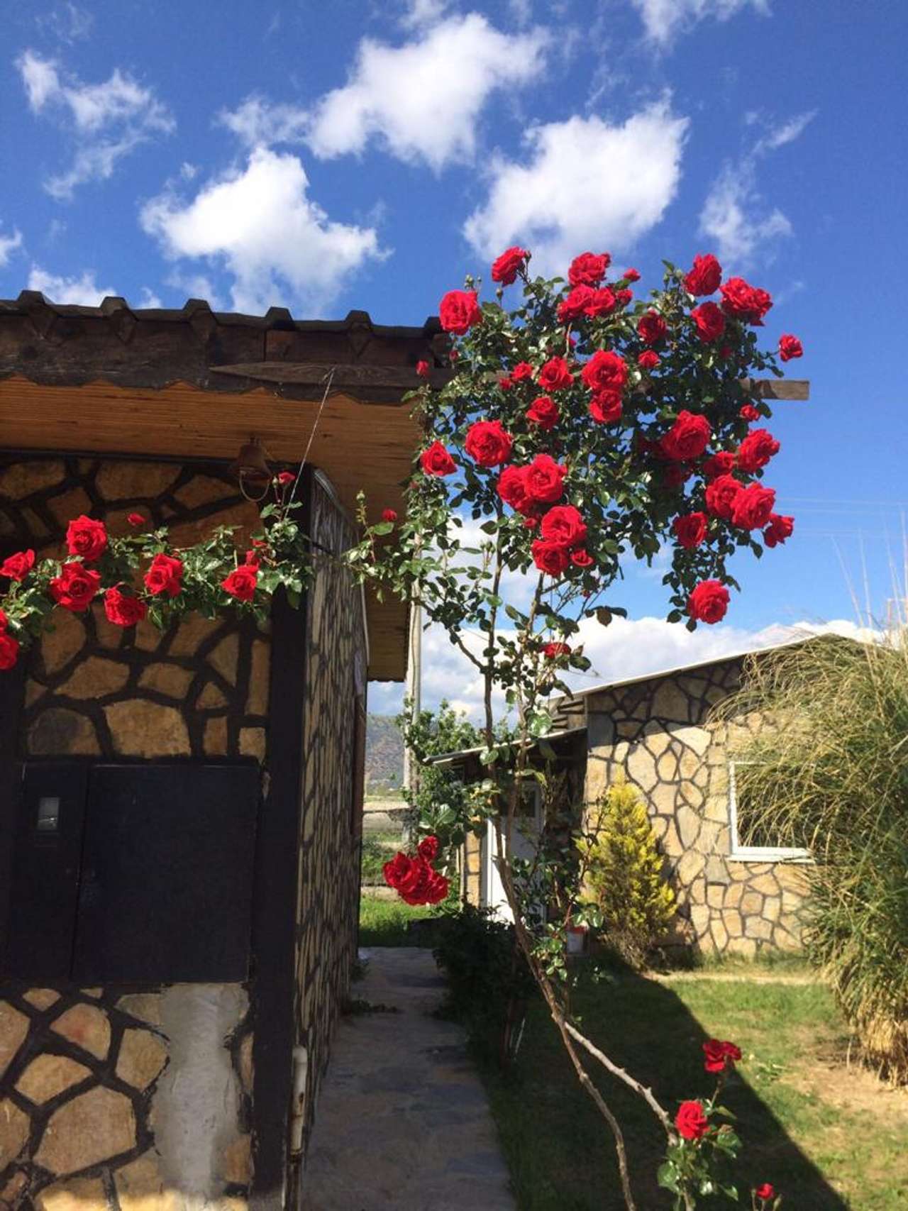 Great land at the reasonable price!