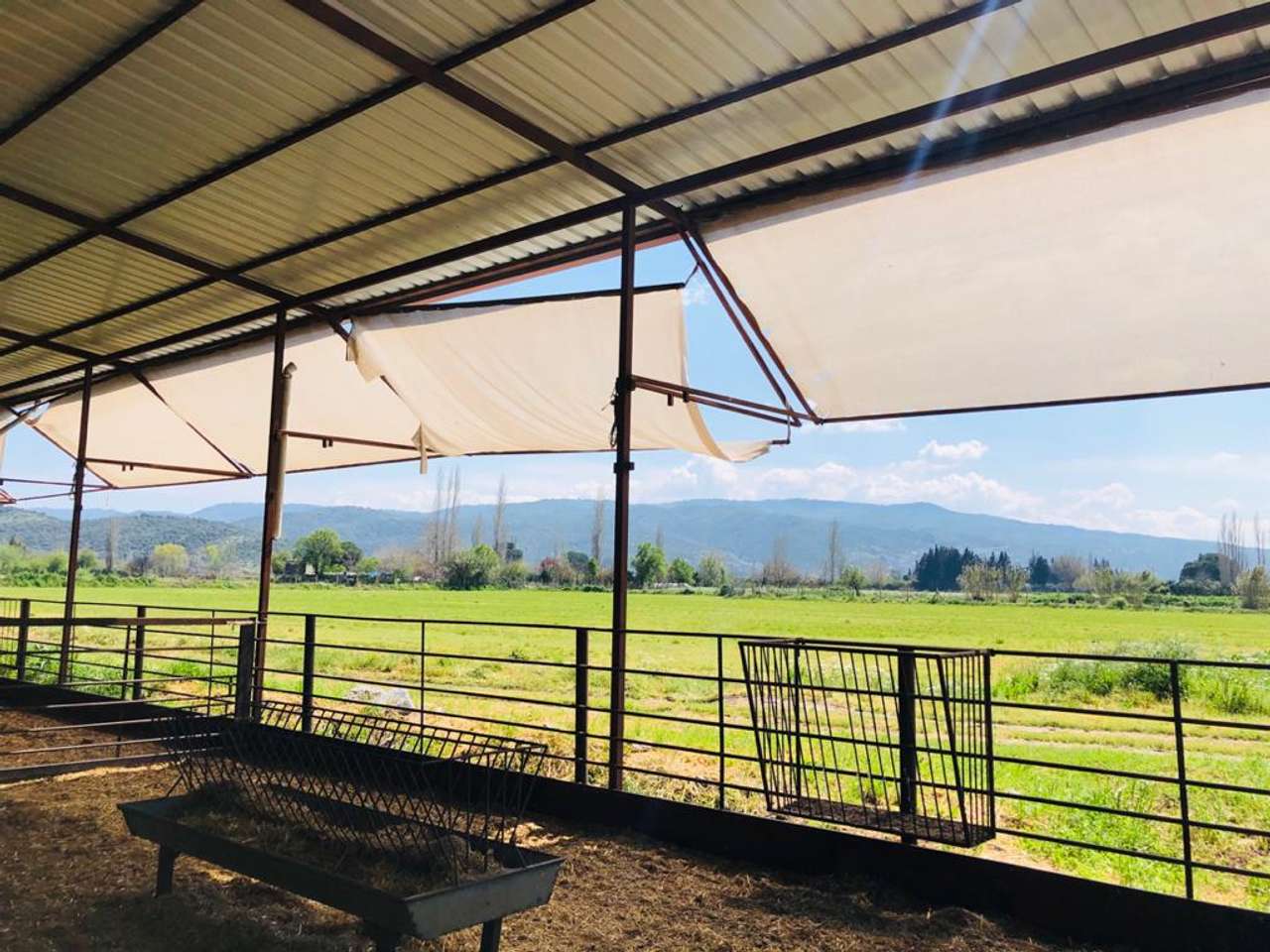 Goat farm for sale at Aydın Söke Sebonda