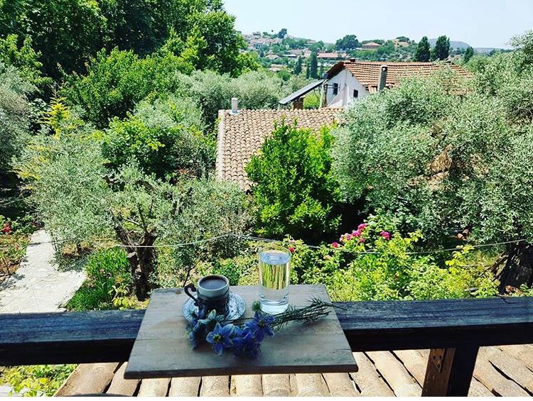 Those who want to do business with pleasure